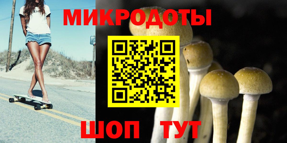 Псилоцибиновые грибы GOLDEN TEACHER Киреевск
